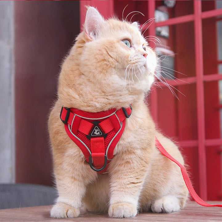 a6278a4ec59161b5958538e6e7767ca1