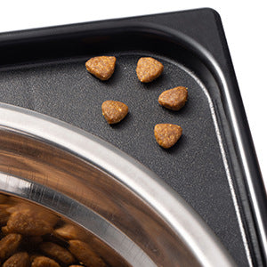 13ca9741f130271d32c318d179b278e5